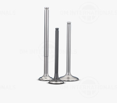 Engine Valves